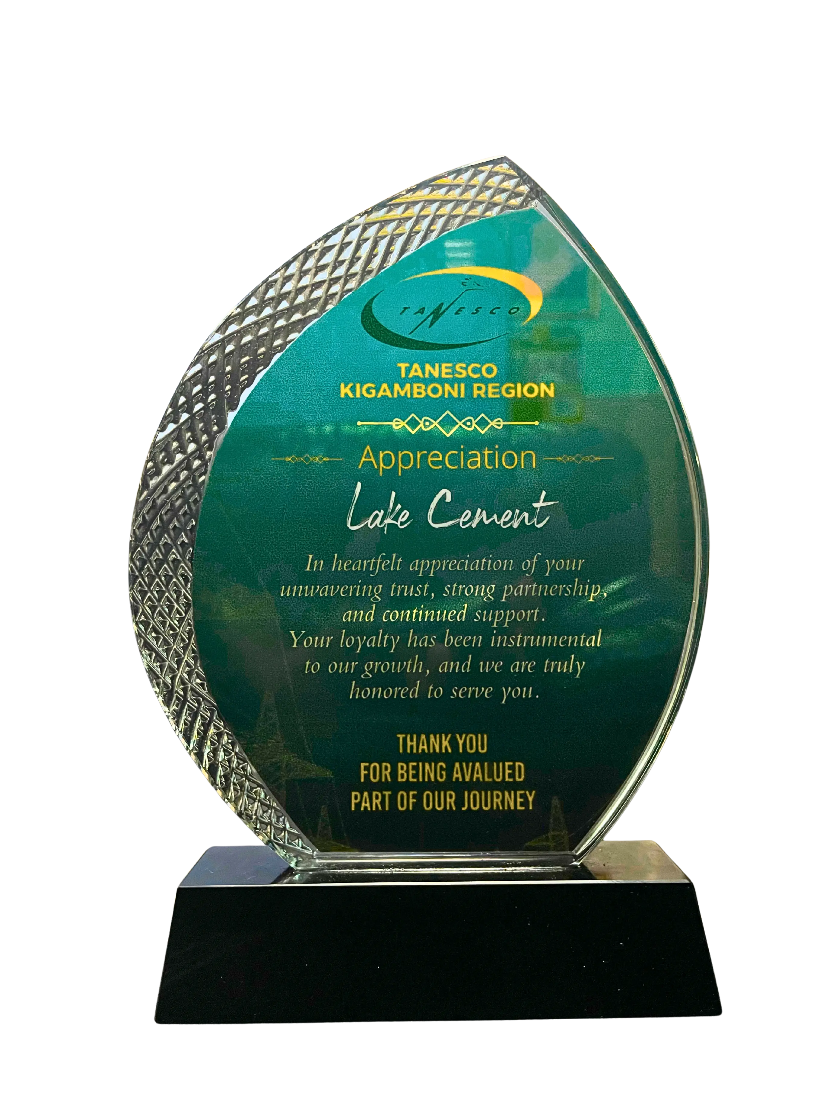 TANESCO Kigamboni Region Appreciation